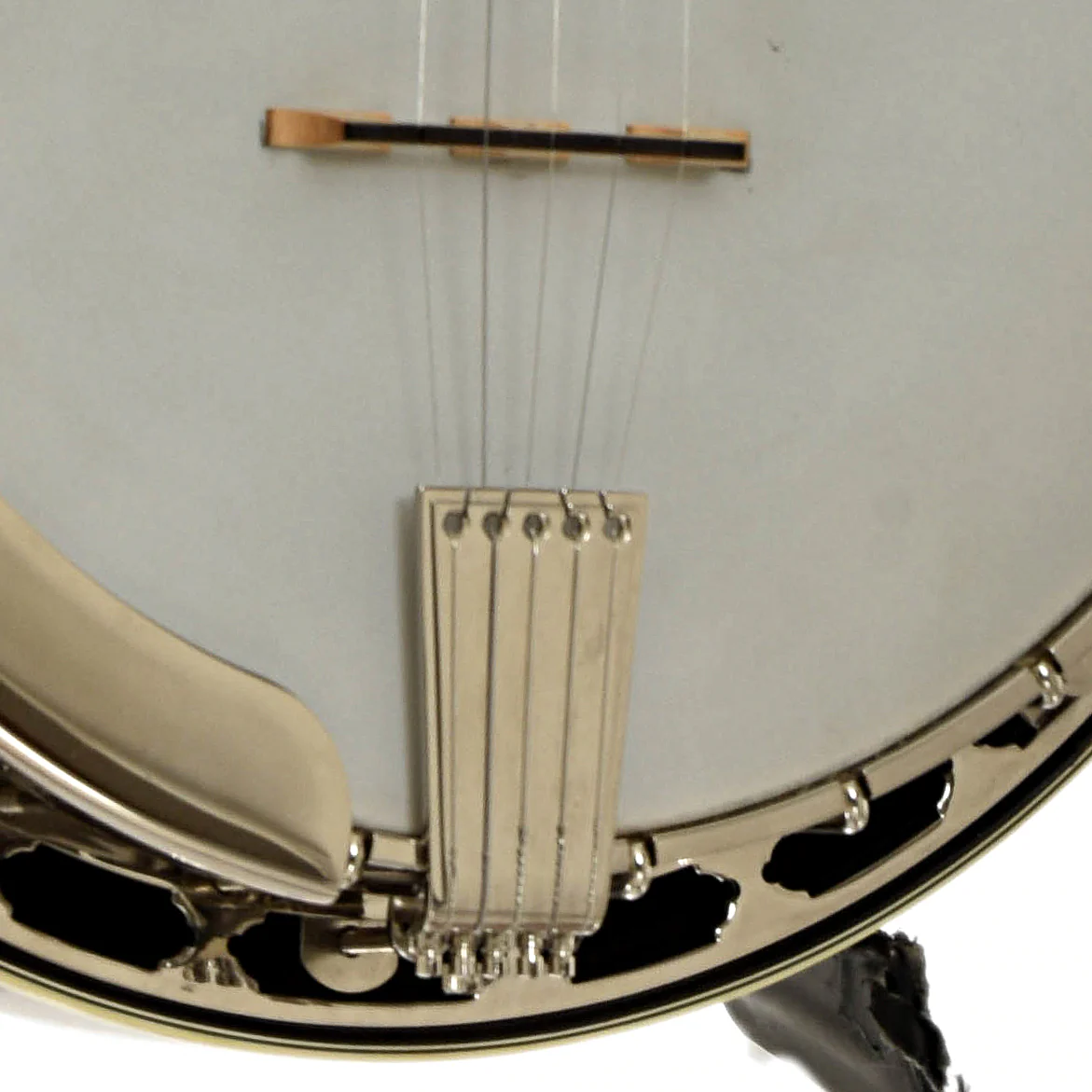 DP Hopkins Janice Martin Resonator Banjo (2011) - Image 4