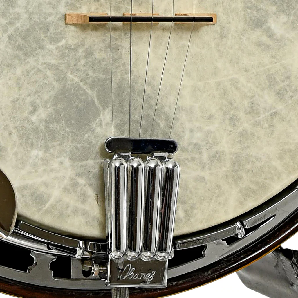 Ibanez Artist Wreath Model 591FB-BR Resonator Banjo (late 70s) - Image 3