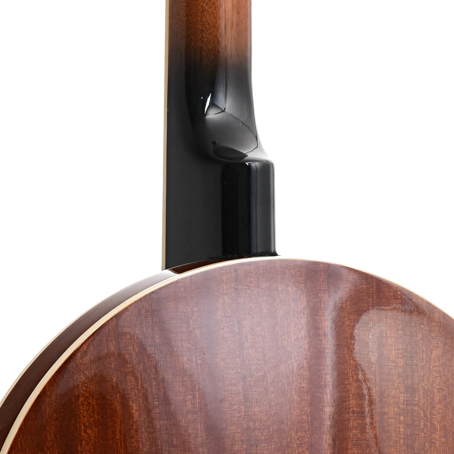 Ibanez B50 Resonator Banjo - Image 10