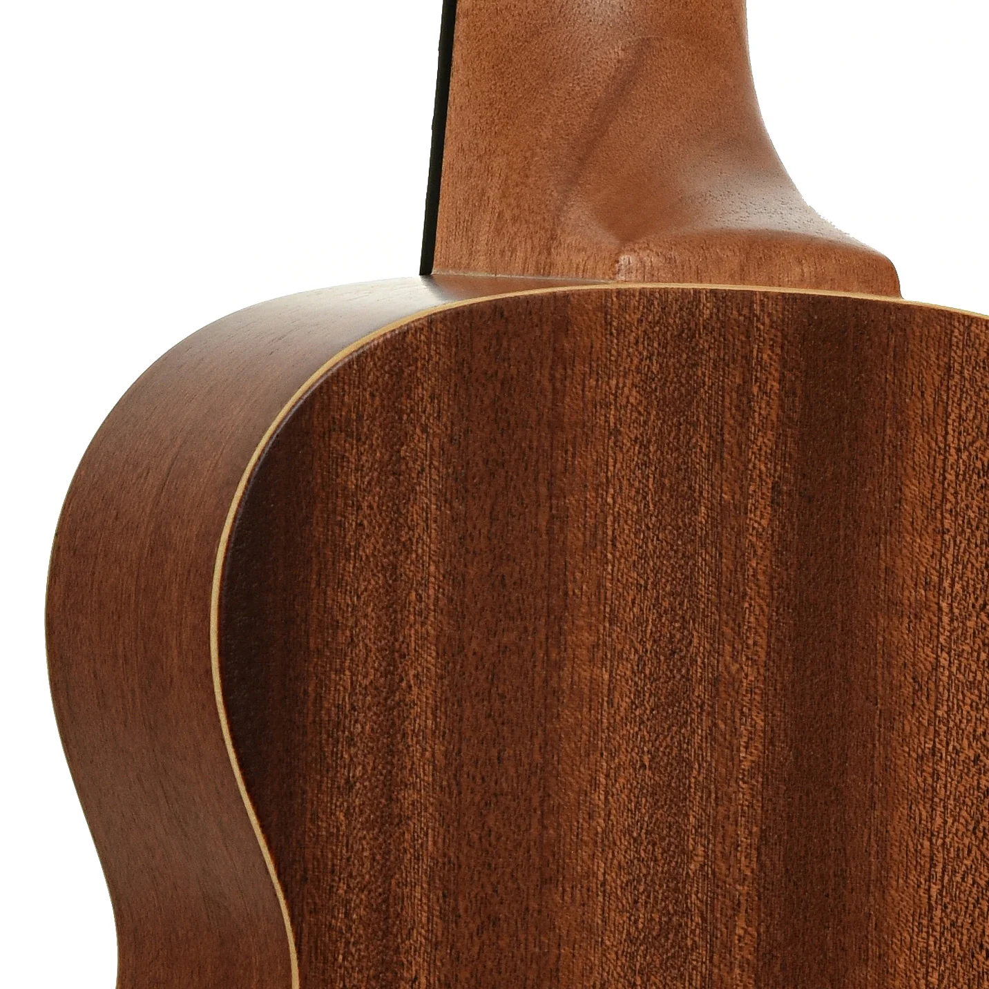 Ibanez Concert Ukulele & Gigbag, Open Pore Natural - Image 10