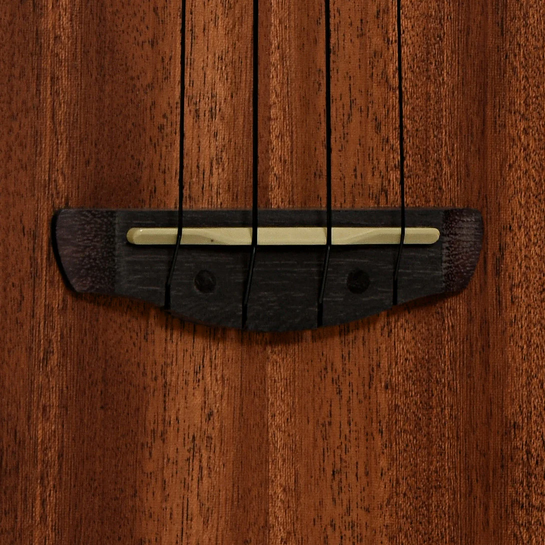 Ibanez Concert Ukulele & Gigbag, Open Pore Natural - Image 5