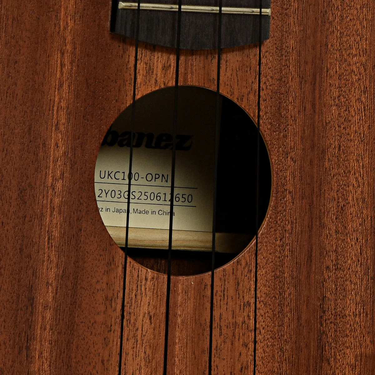 Ibanez Concert Ukulele & Gigbag, Open Pore Natural - Image 6