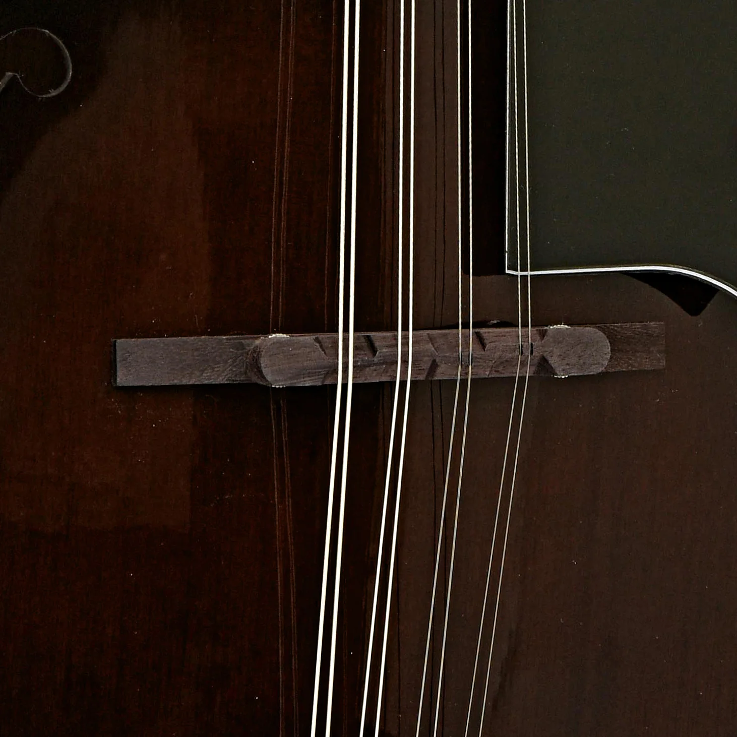 Ibanez M510 A-Style Mandolin, Dark Violin Sunburst - Image 6