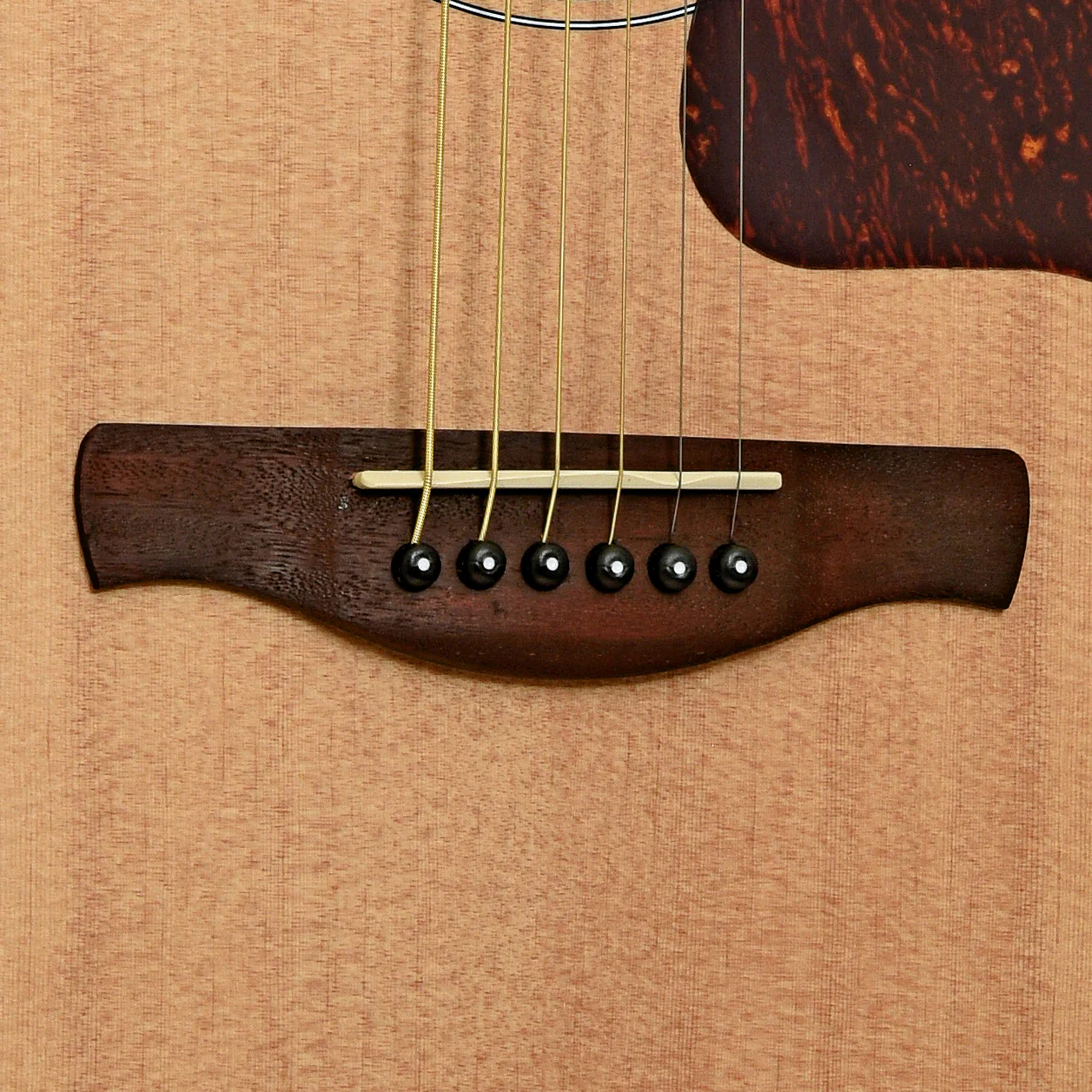 Ibanez PF50 Dreadnought Acoustic Guitar, Open Pore Natural - Image 5