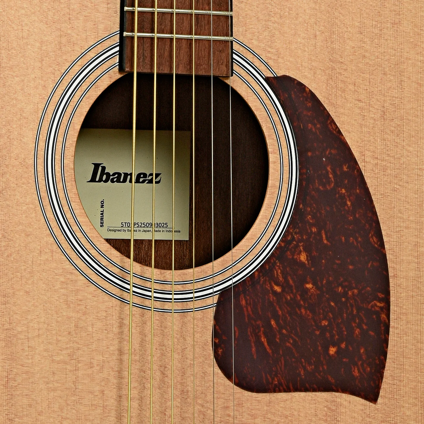Ibanez PF50 Dreadnought Acoustic Guitar, Open Pore Natural - Image 6