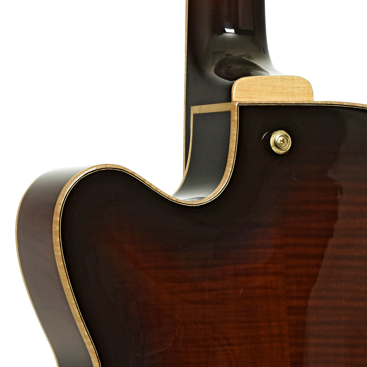 Ibanez SJ300 DVS Hollowbody Electric Guitar (2015) - Image 10