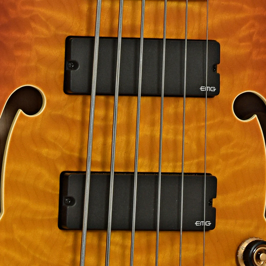 Ibanez TCB1006 Stephen "Thundercat" Bruner 6-String Hollowbody Electric Bass (2022) - Image 6