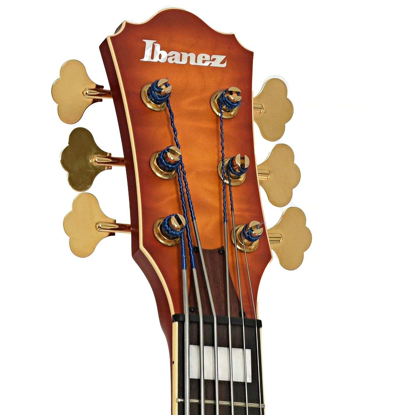 Ibanez TCB1006 Stephen "Thundercat" Bruner 6-String Hollowbody Electric Bass (2022) - Image 8