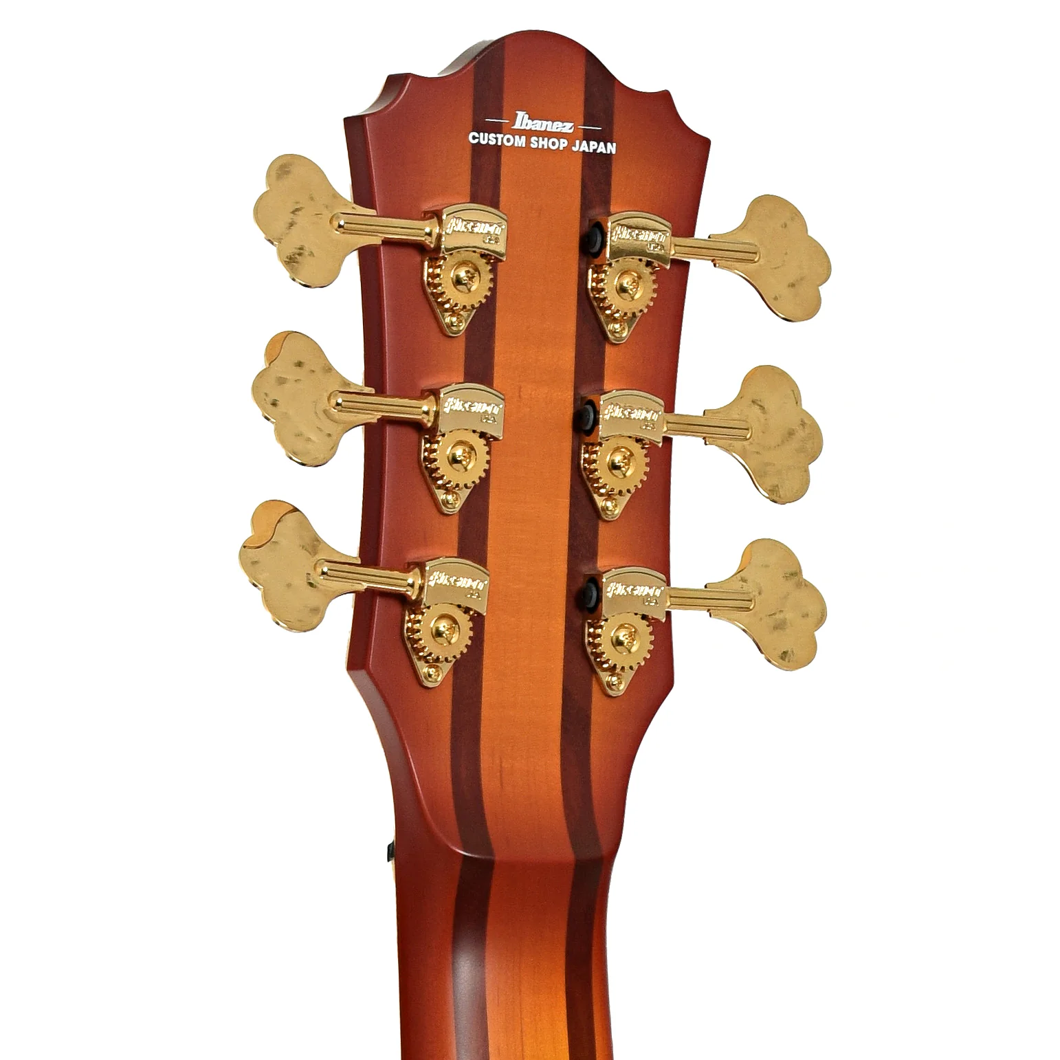 Ibanez TCB1006 Stephen "Thundercat" Bruner 6-String Hollowbody Electric Bass (2022) - Image 9