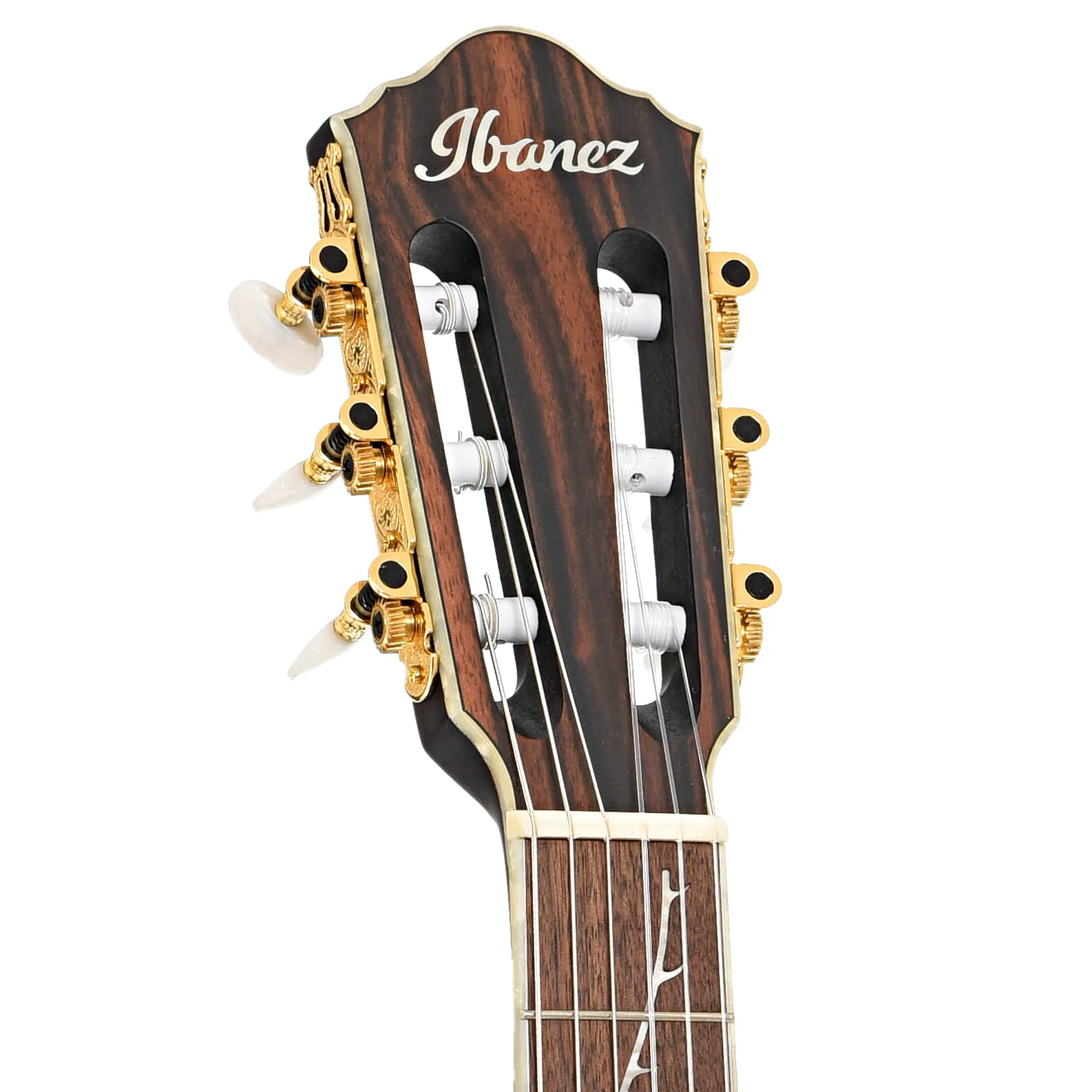 Ibanez TOD10N Tim Henson Signature Nylon String Acoustic-Electric Guitar, Transparent Black Flat - Image 8