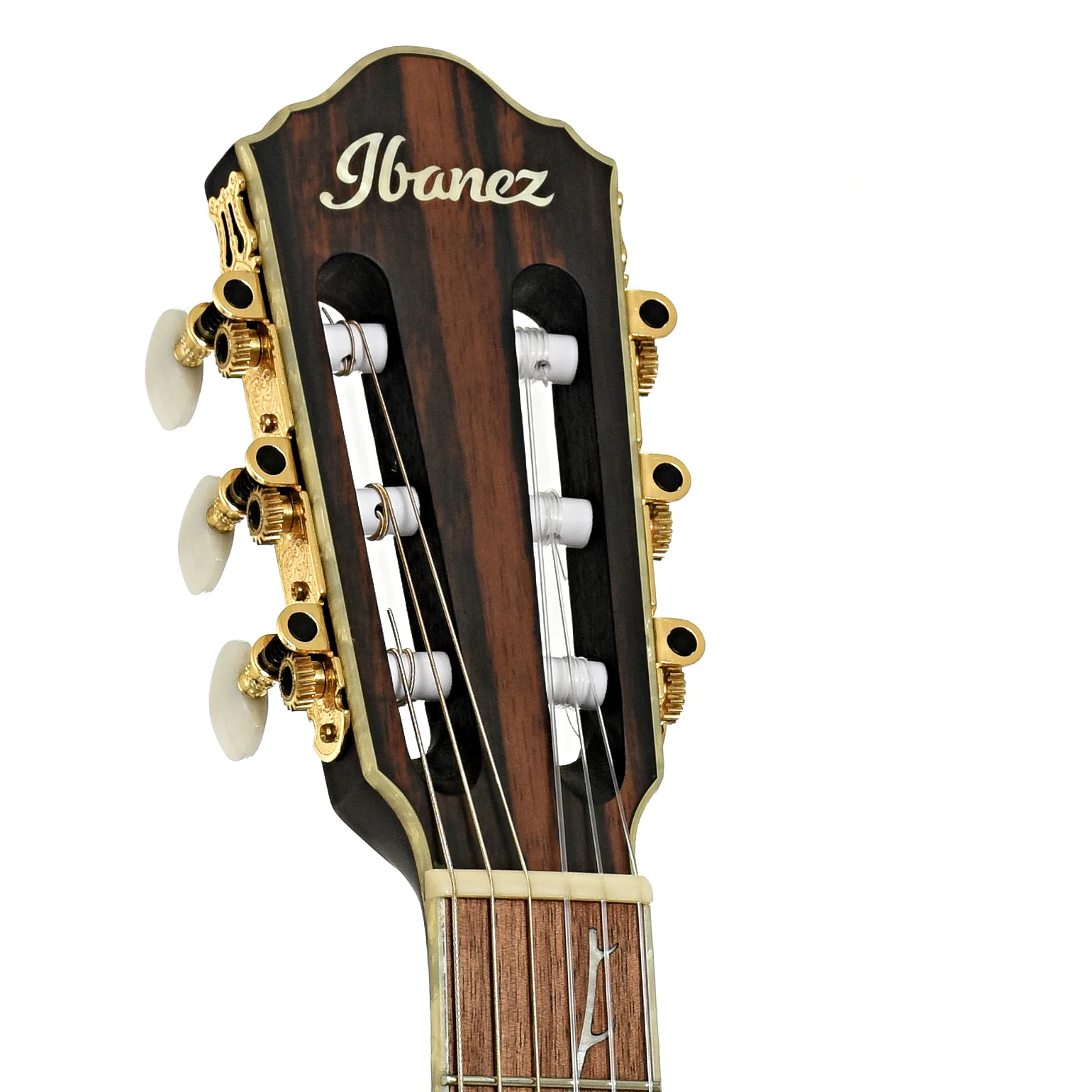 Ibanez TOD10N Tim Henson Signature Nylon String Acoustic-Electric Guitar (2024) - Image 8