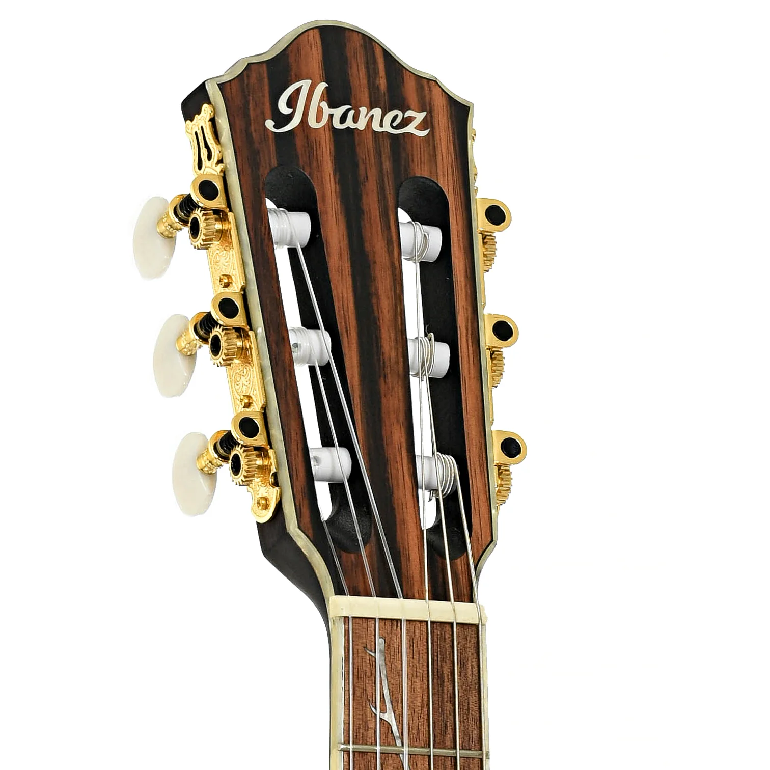 Ibanez TOD10NL Tim Henson Signature Nylon String Left-Handed Acoustic-Electric Guitar, Transparent Black Flat - Image 8