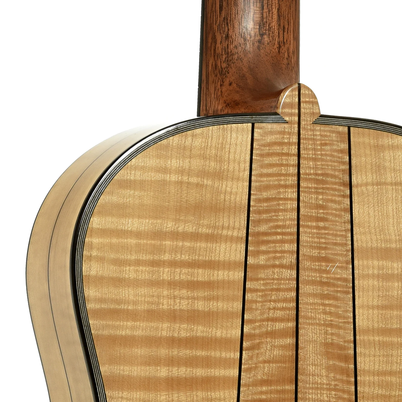 Jellinghaus Antonio De Torres 1883 Replica SE49 Acoustic Guitar (2025) - Image 10