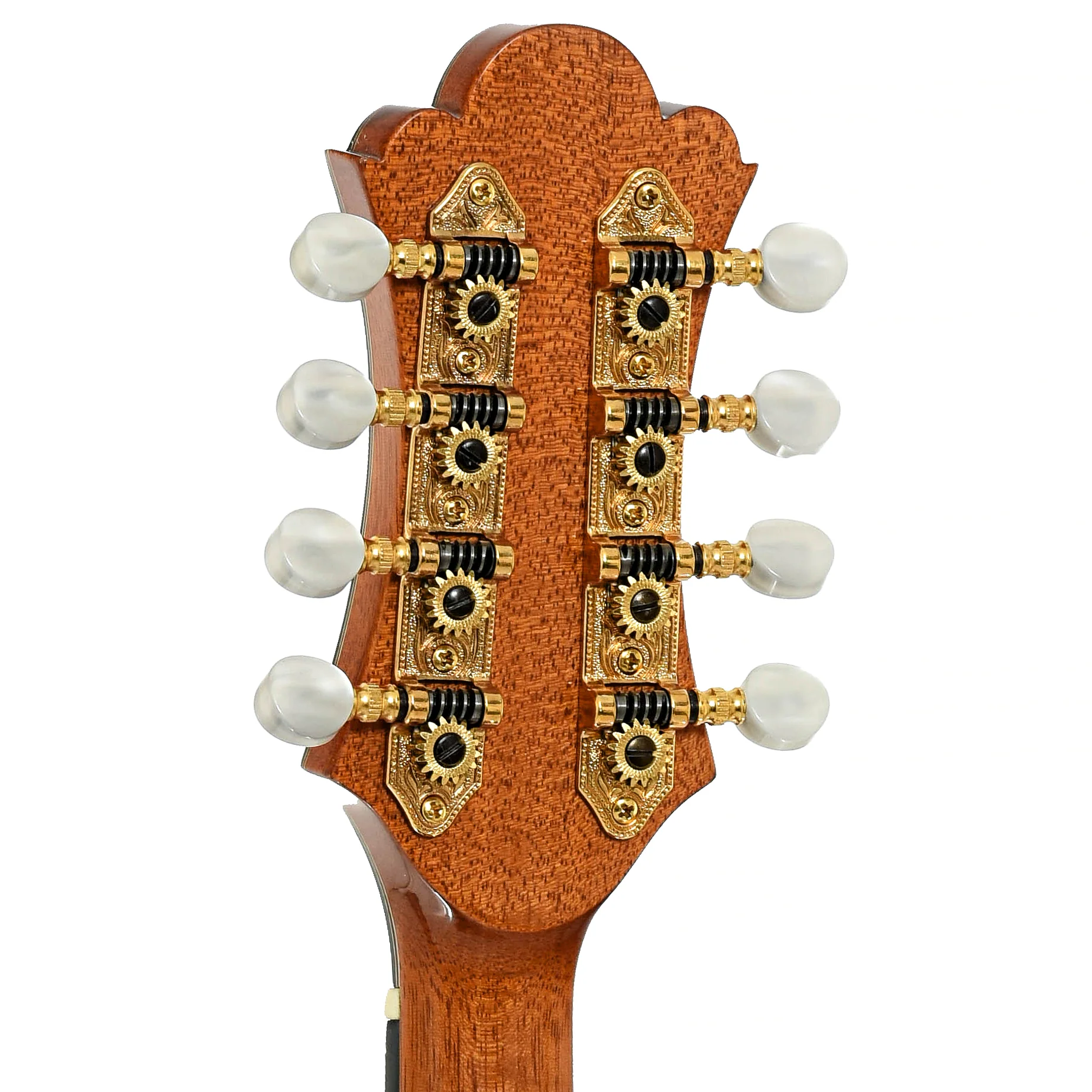 Joao Batista BESP Mandolin (2001) - Image 9