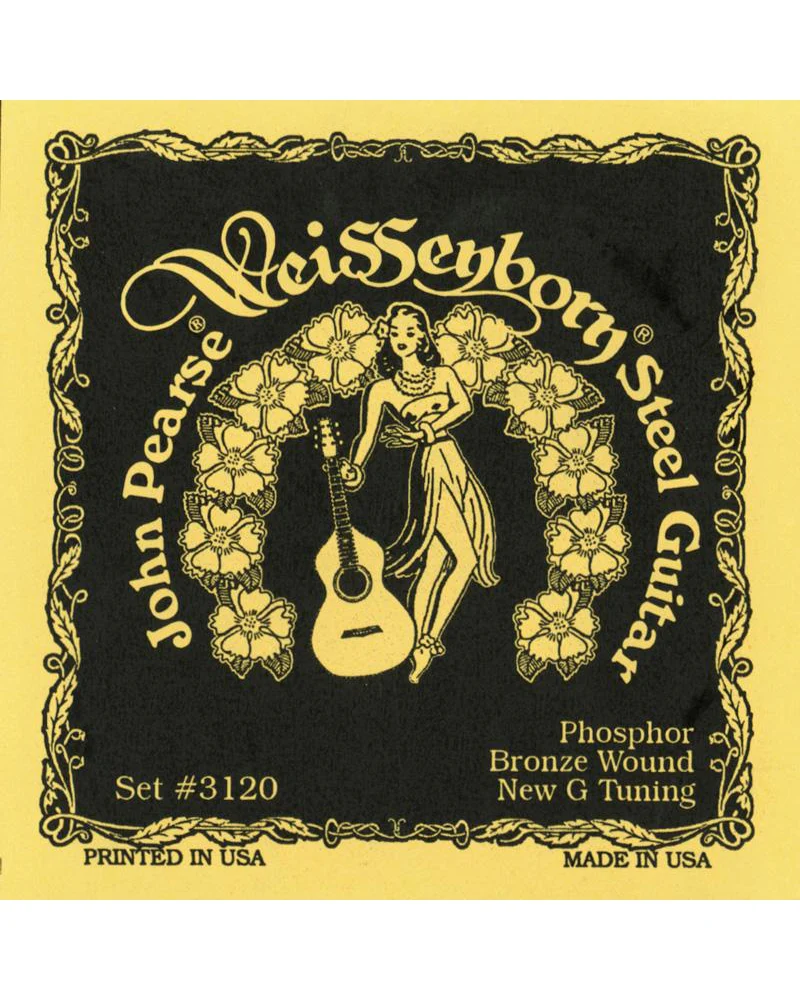 John Pearse 3120 Weissenborn Phosphor Bronze Acoustic Slide Guitar Strings - Image 2