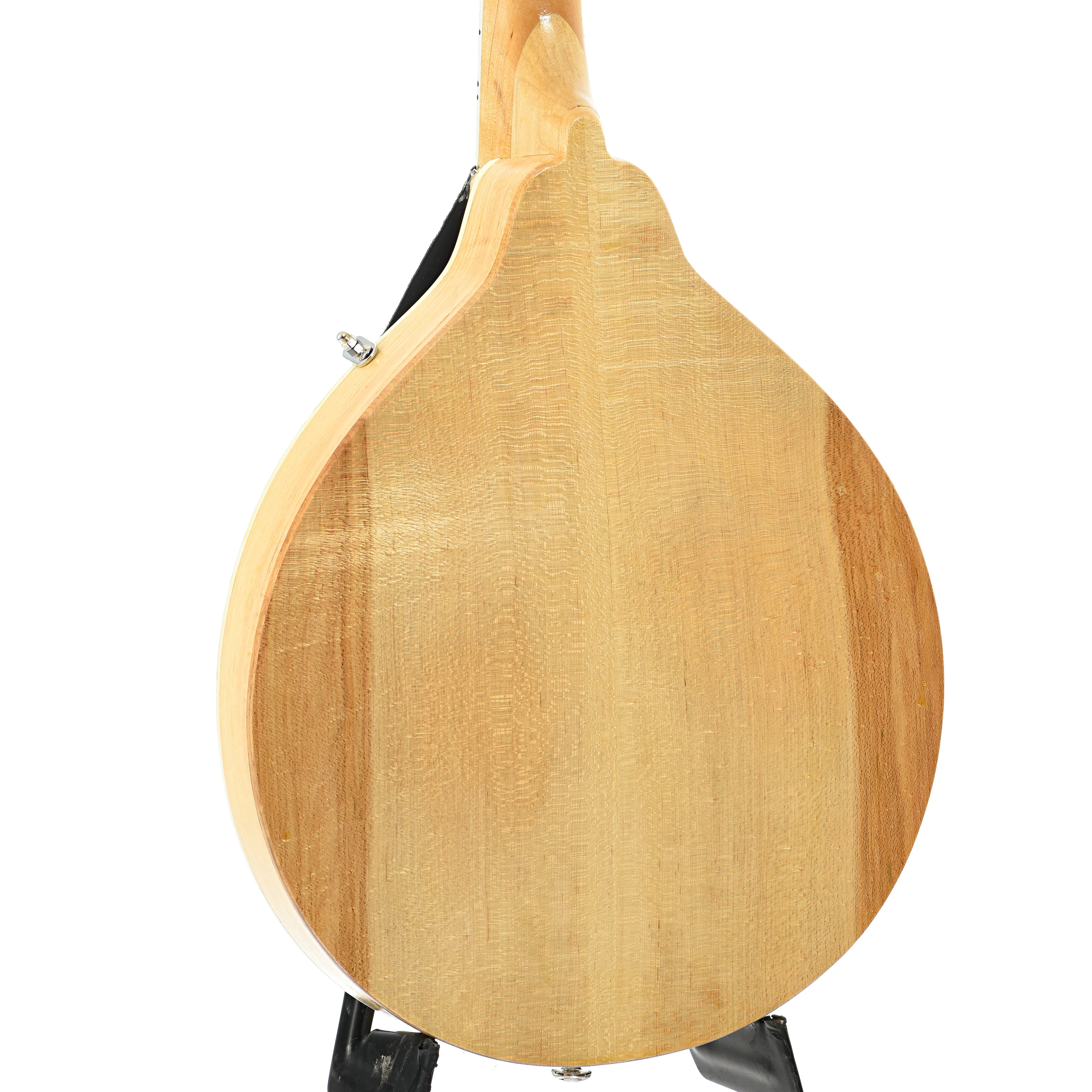 Jordan L. Buck A-Style Kit Mandolin (2024) - Image 11