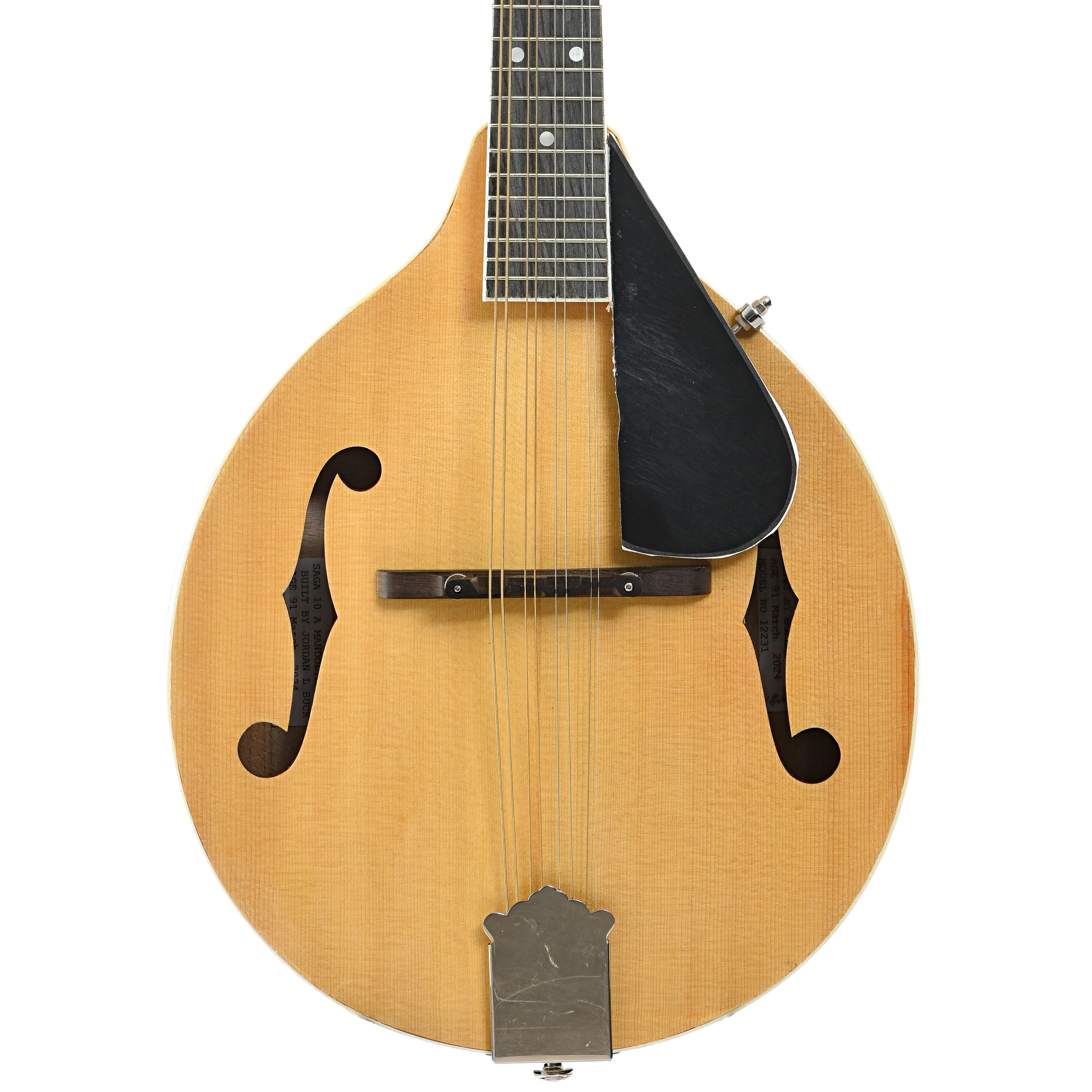 Jordan L. Buck A-Style Kit Mandolin (2024) - Image 2