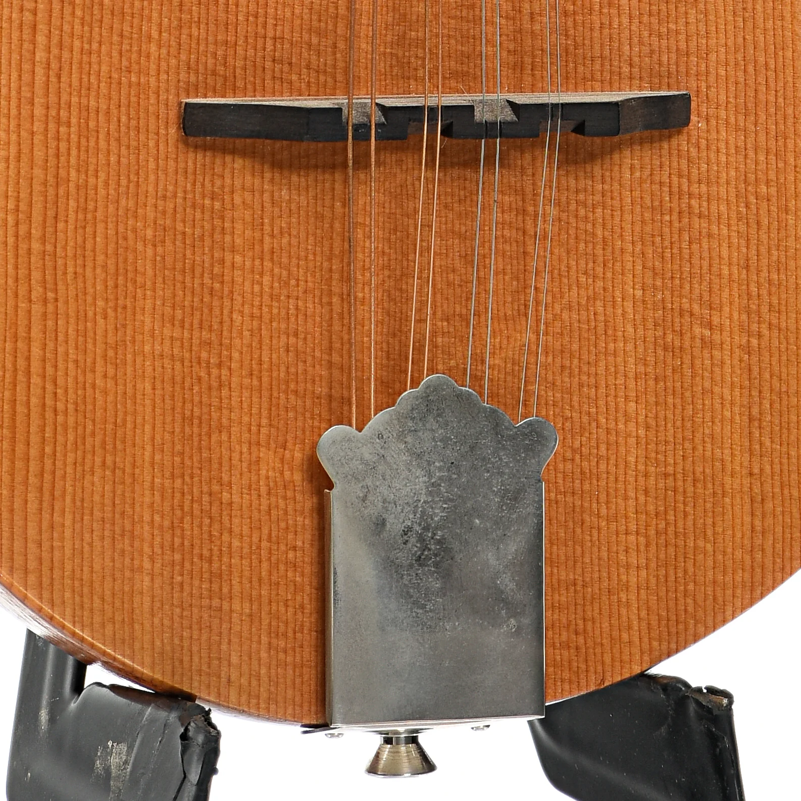 Jordan L. Buck Flat Top Mandolin (2011) - Image 5