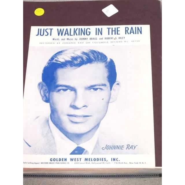 Just Walking in the Rain - Image 2