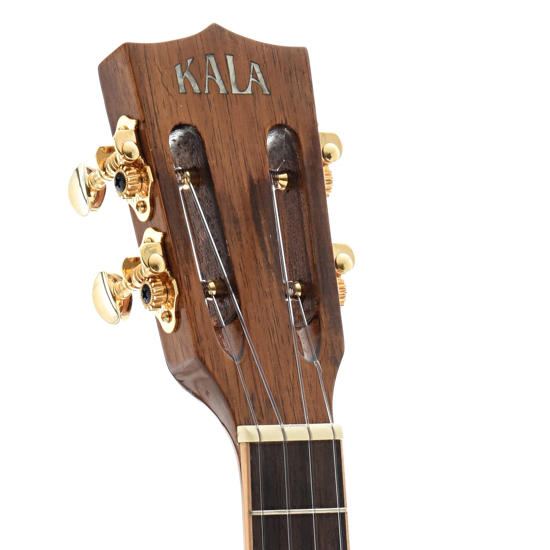 Kala KA-KCGE-C Koa Gloss Concert Cutaway Ukulele, with Pickup - Image 6
