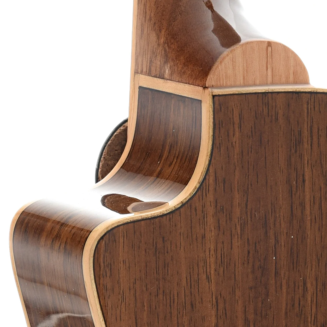 Kala KA-KCGE-C Koa Gloss Concert Cutaway Ukulele, with Pickup - Image 8