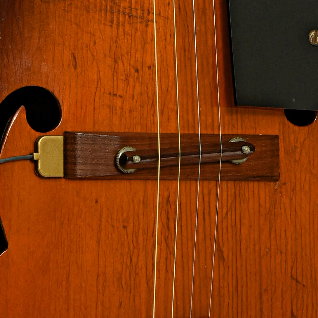 Kalamazoo KTG-21 Archtop Tenor Guitar (c.1941) - Image 6