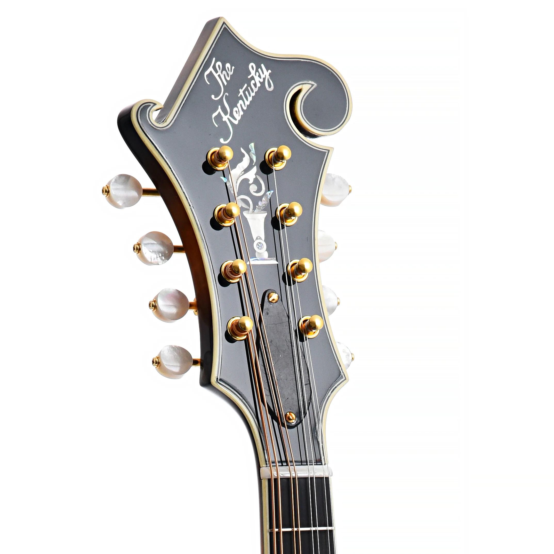 Kentucky KM-1500 F-Style Mandolin & Gigbag - Image 8