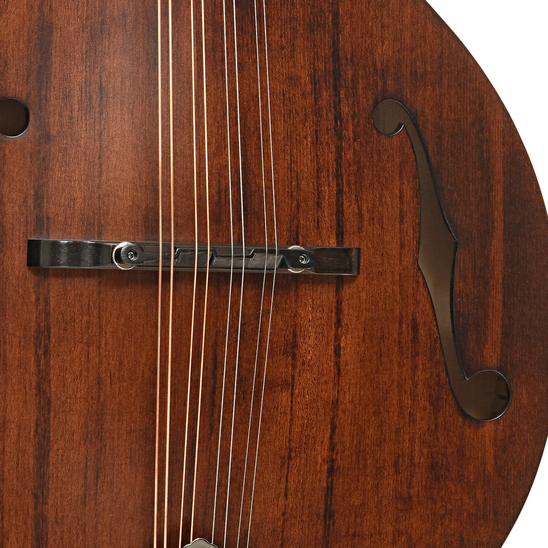 Kentucky KM-206 A-Style Mandolin & Gigbag - Image 6