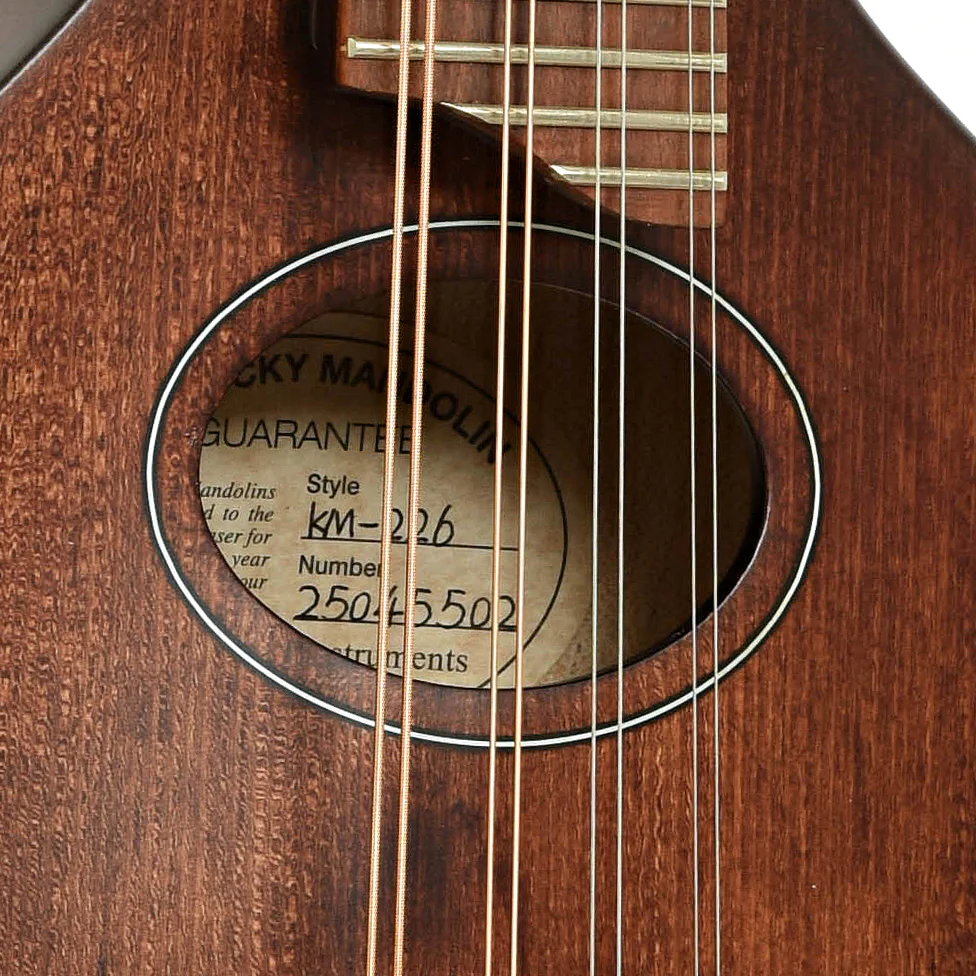 Kentucky KM-226 A-Style Oval Hole Mandolin & Gigbag - Image 6