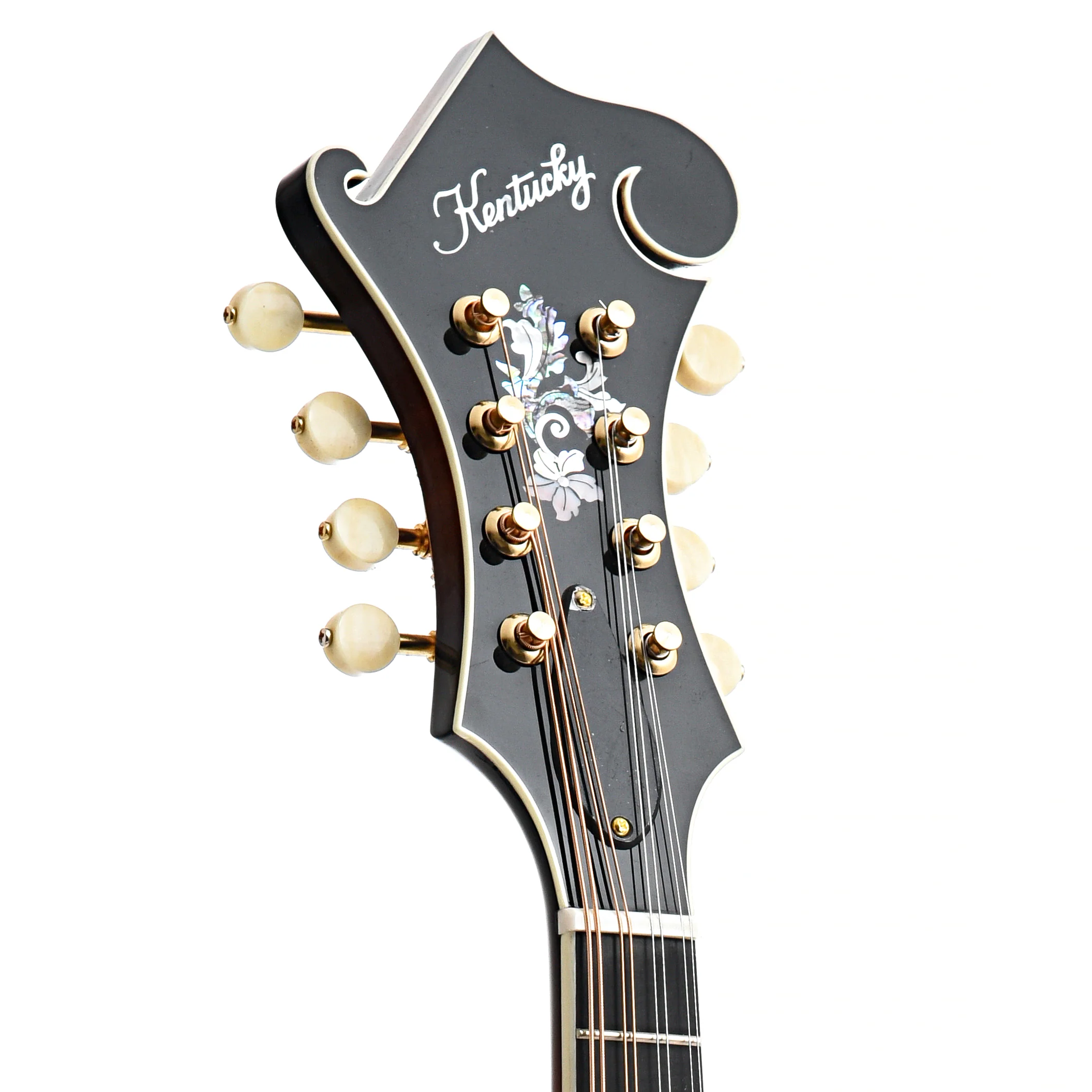Kentucky KM-850 F-Style Mandolin & Gigbag - Image 7
