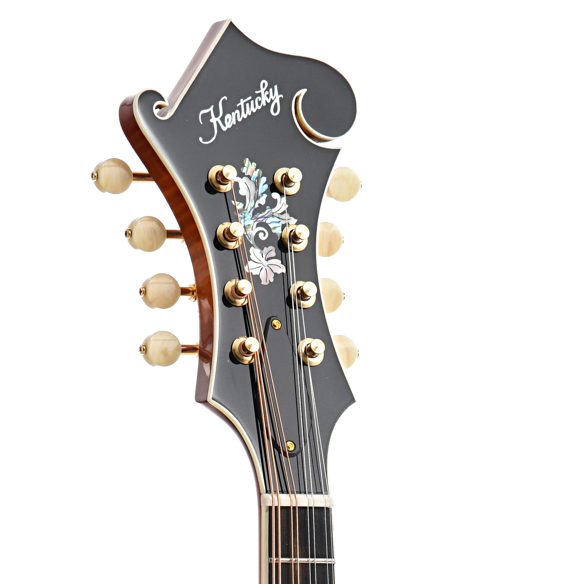 Kentucky KM-855 F-Style Mandolin & Gigbag - Image 8