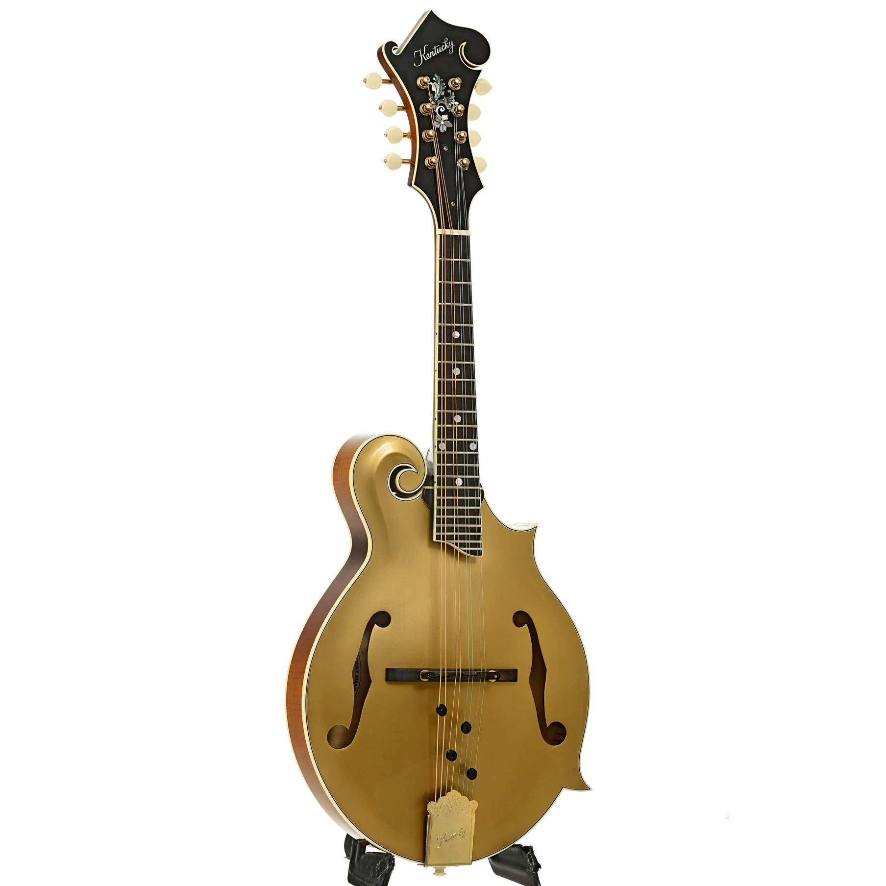 Kentucky KM-858 Artist Gold Mandolin (2018) - Image 3