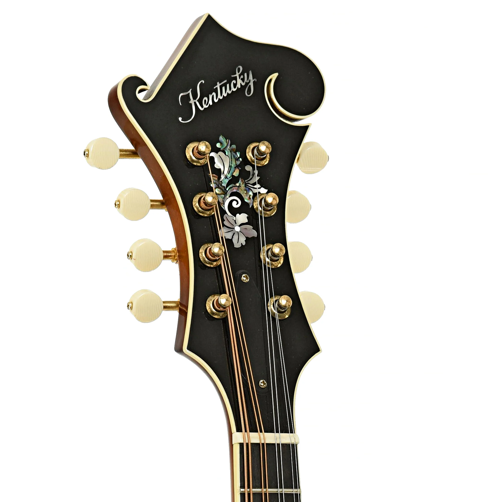 Kentucky KM-858 Artist Gold Mandolin (2018) - Image 8