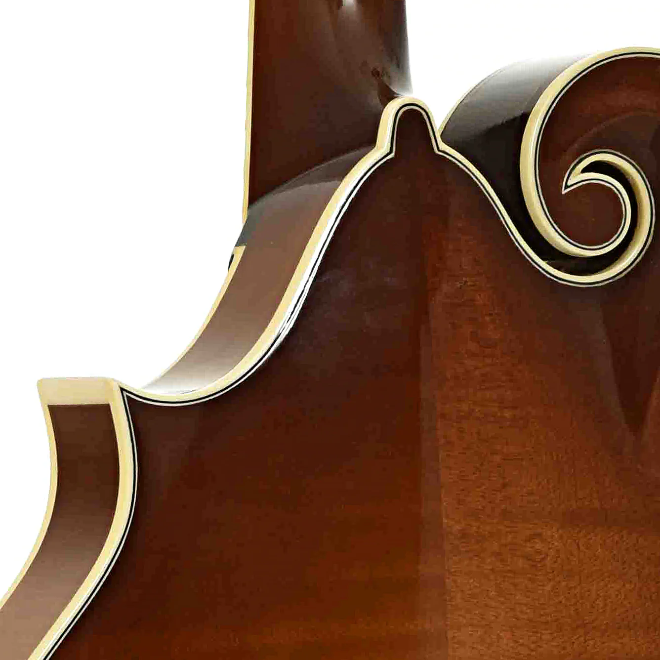 Kentucky KM-858 Gold Artist F-Style Mandolin (2018) - Image 10