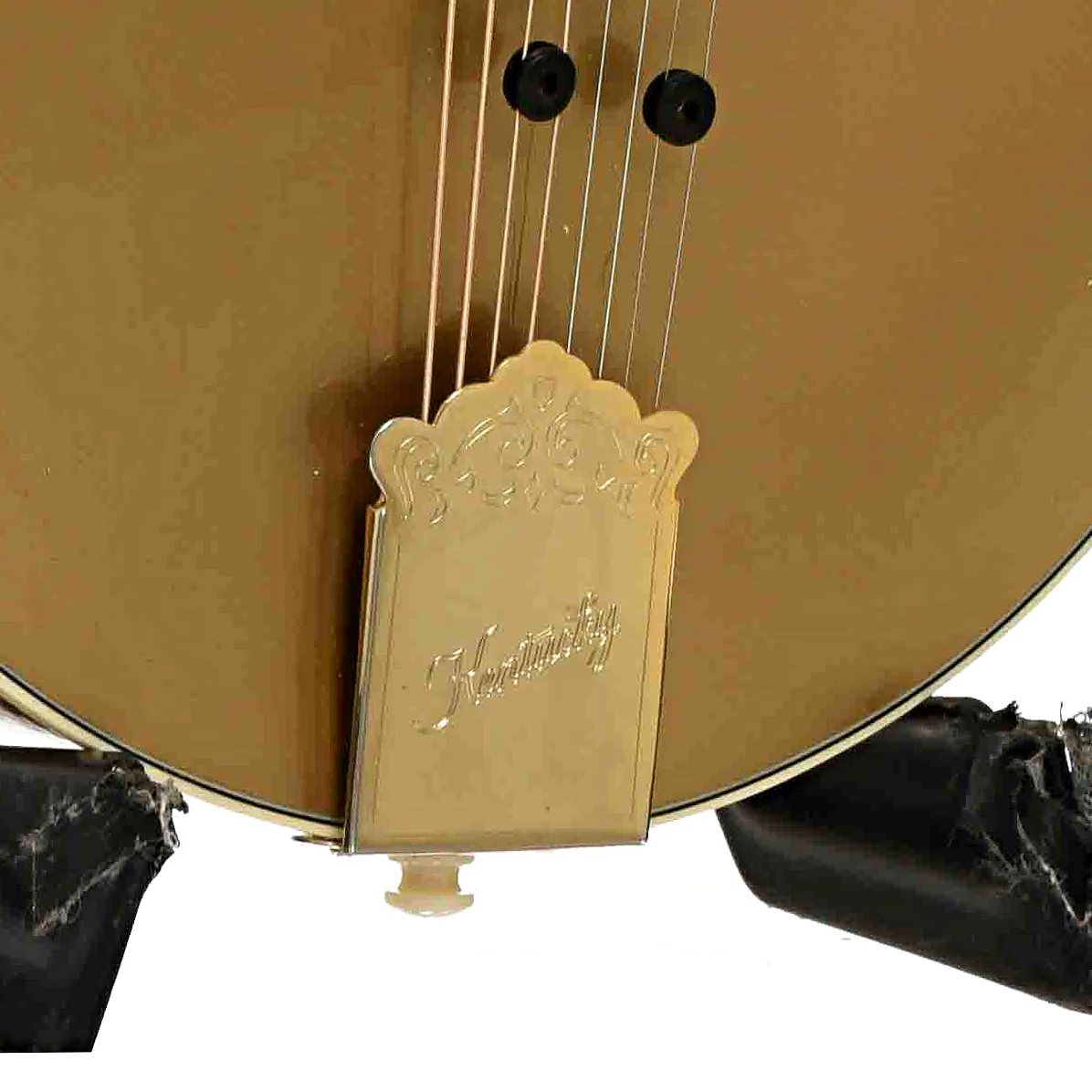 Kentucky KM-858 Gold Artist F-Style Mandolin (2018) - Image 5