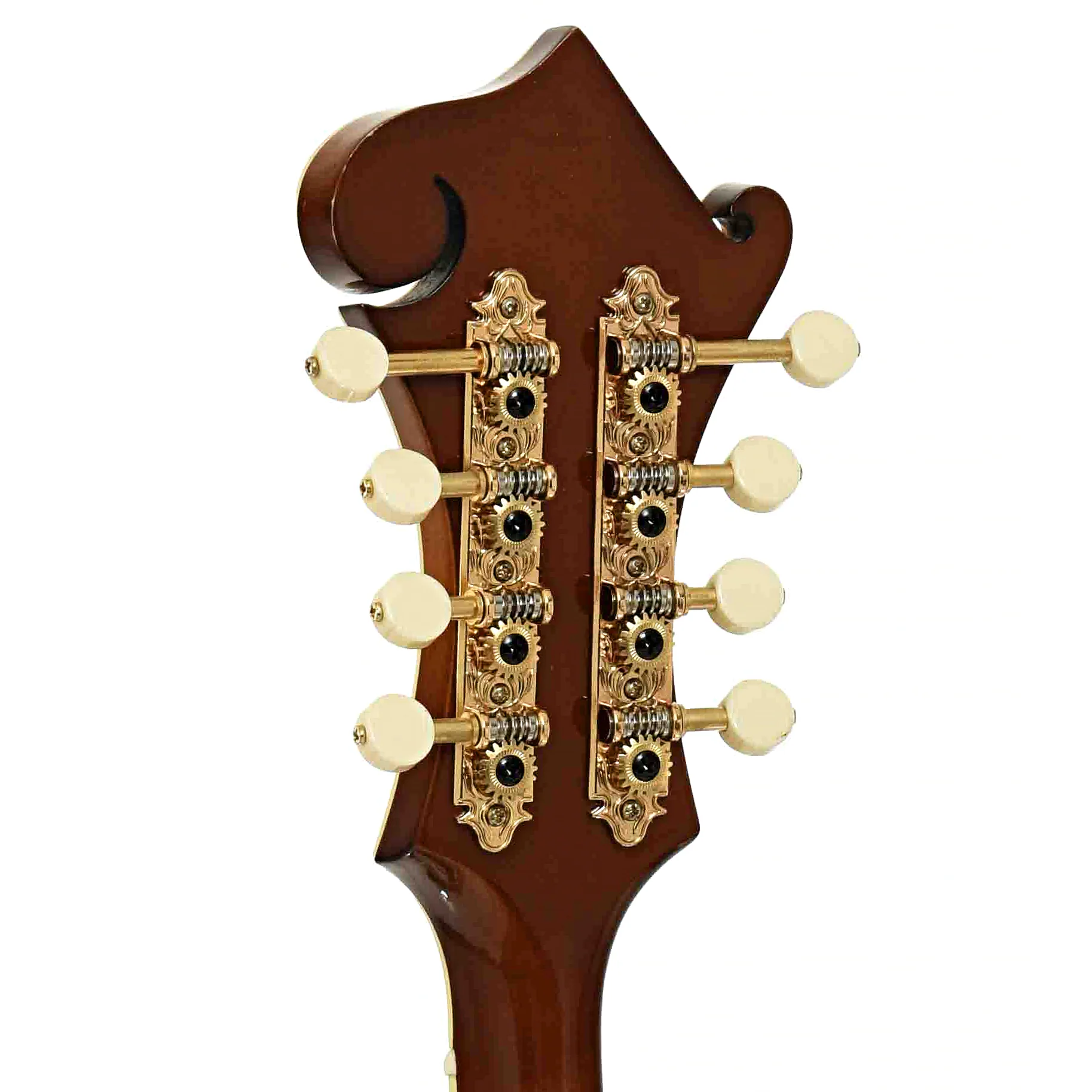 Kentucky KM-858 Gold Artist F-Style Mandolin (2018) - Image 9