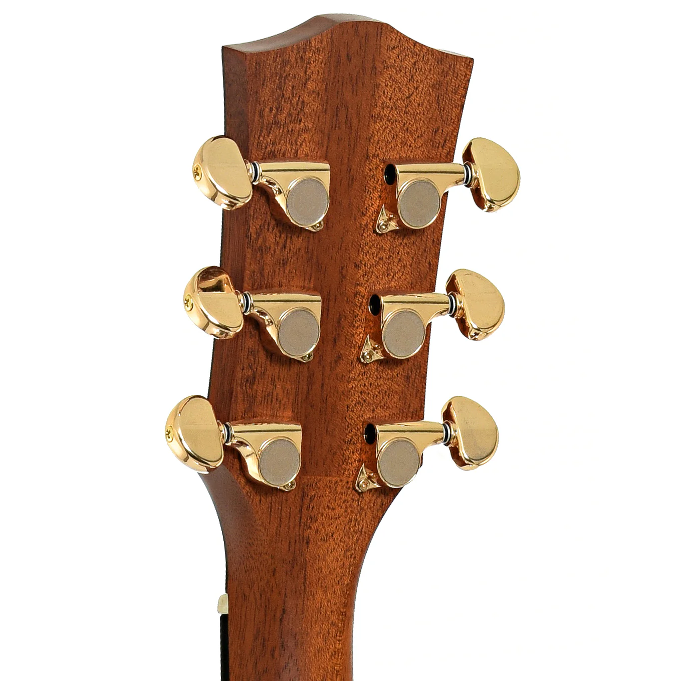 Kepma D1-130 Elite Series Dreadnought Acoustic Guitar (recent) - Image 9