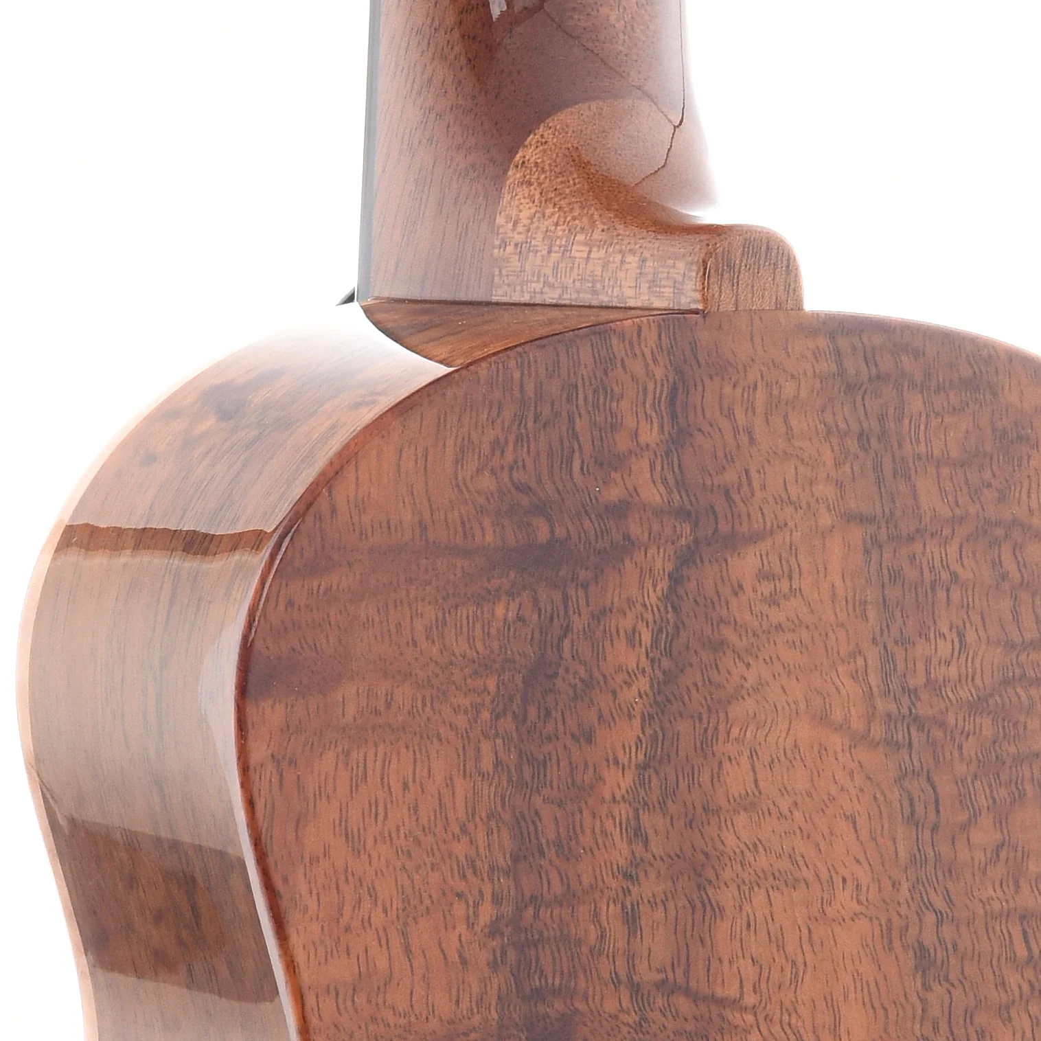 Kiwaya Strummer Series KPC-5K Concert Ukulele - Image 9