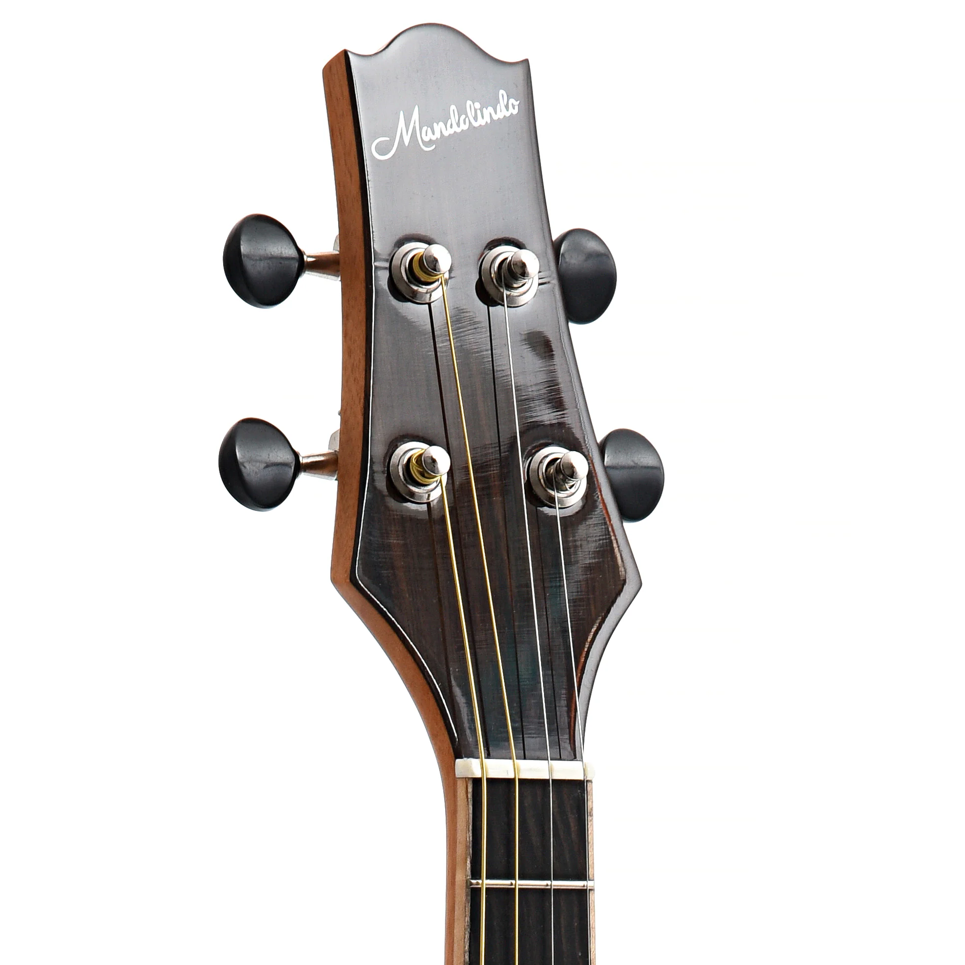 KR Strings Mandolindo Artist, Spruce & Rosewood - Image 10