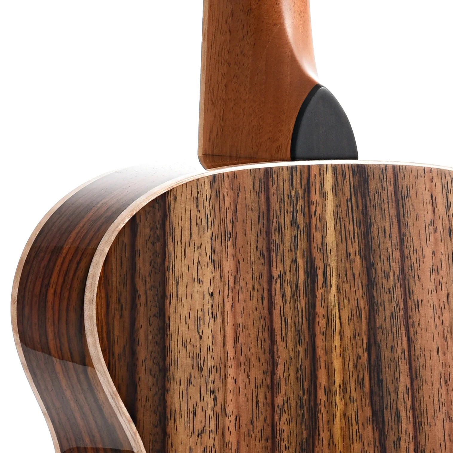 KR Strings Mandolindo Artist, Spruce & Rosewood - Image 12