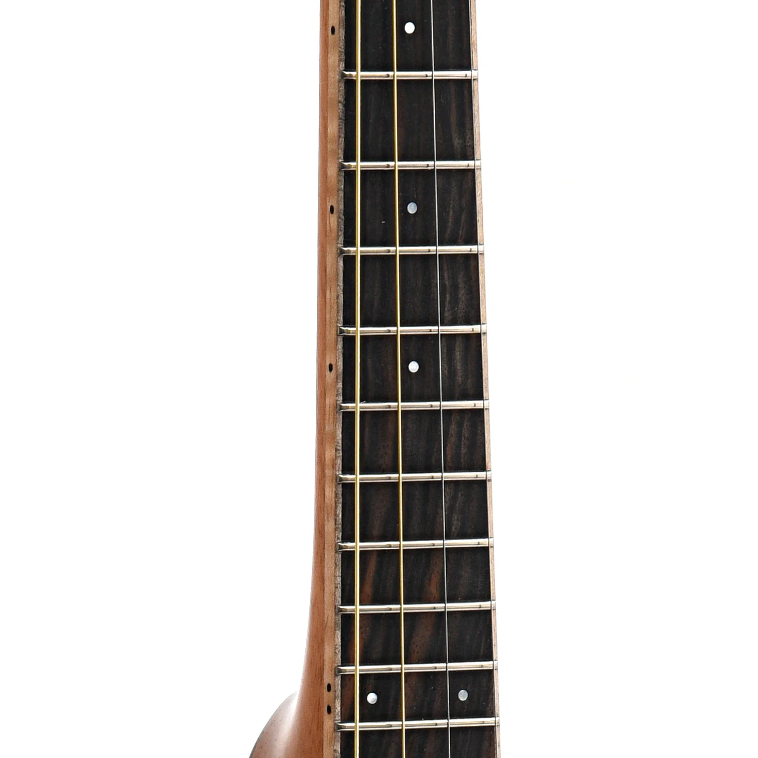 KR Strings Mandolindo Artist, Spruce & Rosewood - Image 9