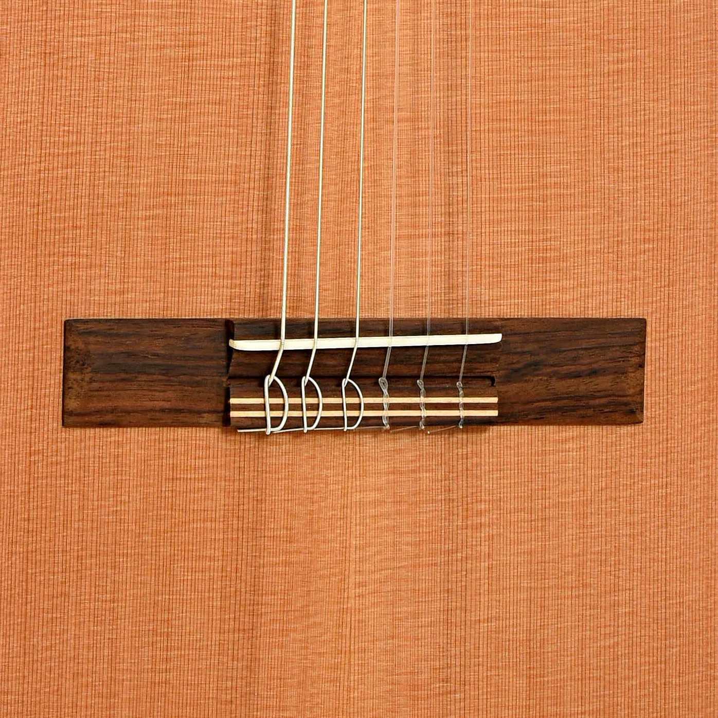 Kremona Artist Series Fiesta FC Classical Guitar and Case - Image 5