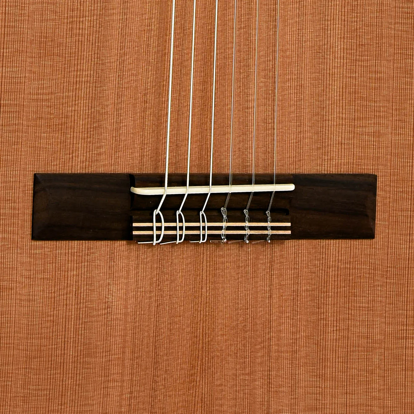 Kremona Artist Series Sofia Classical Guitar and Case - Image 5