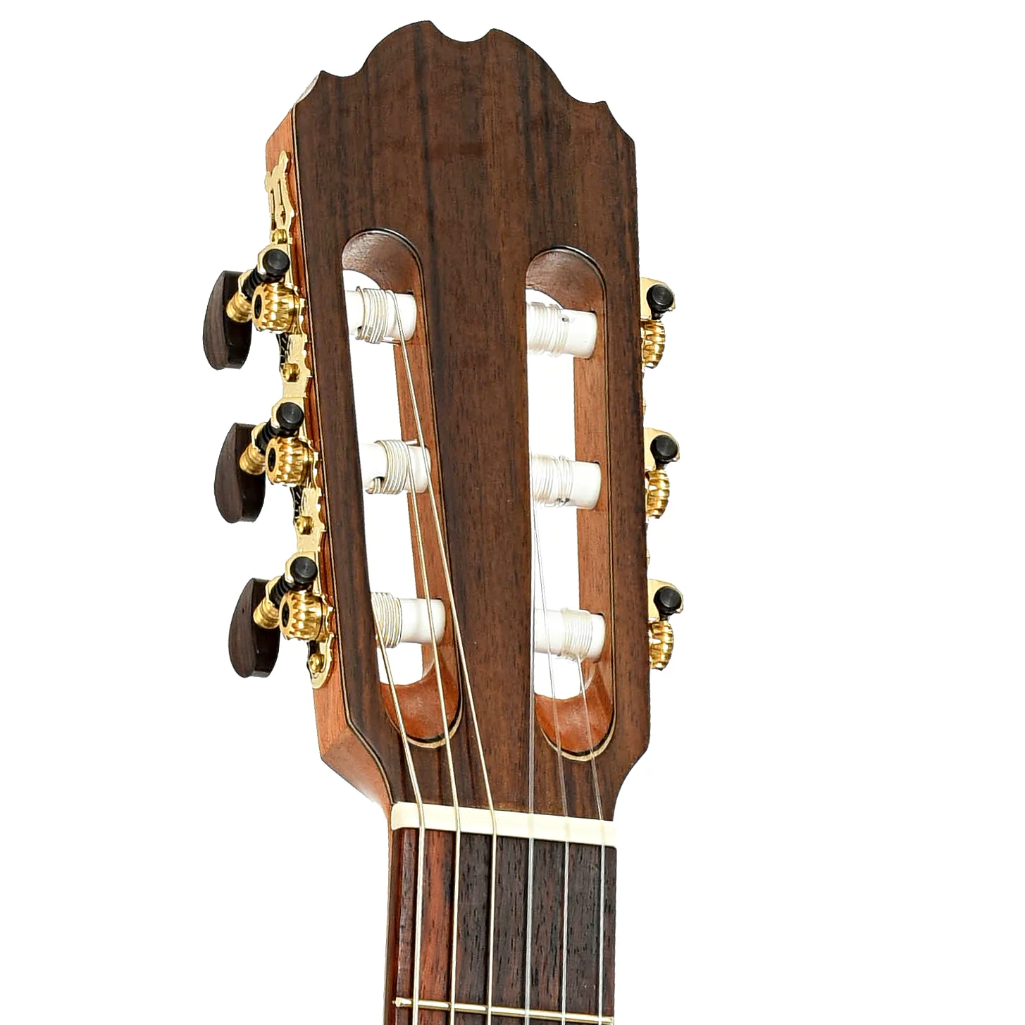 Kremona Verea Classical Guitar with Pickup and Gigbag - Image 8