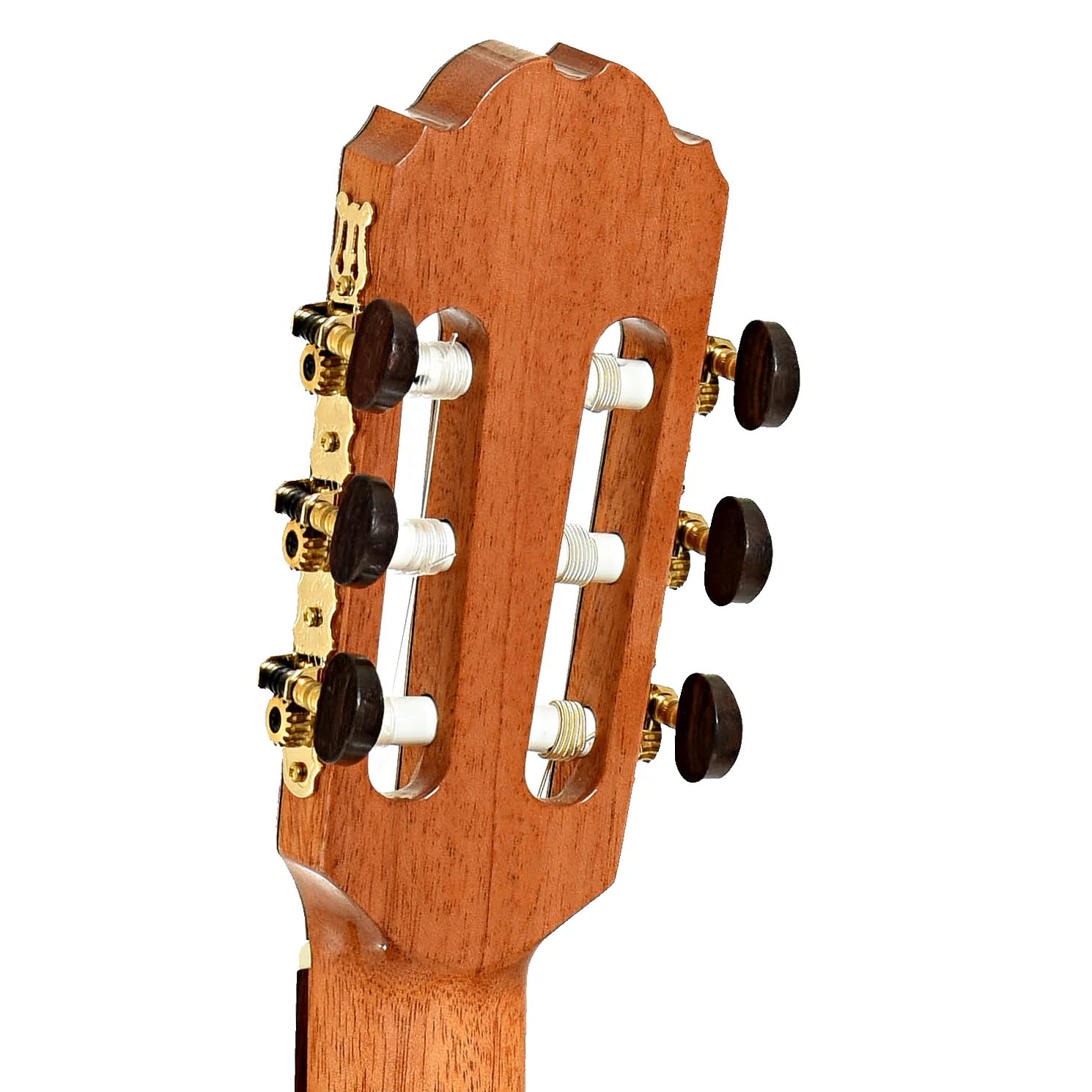 Kremona Verea Classical Guitar with Pickup and Gigbag - Image 9