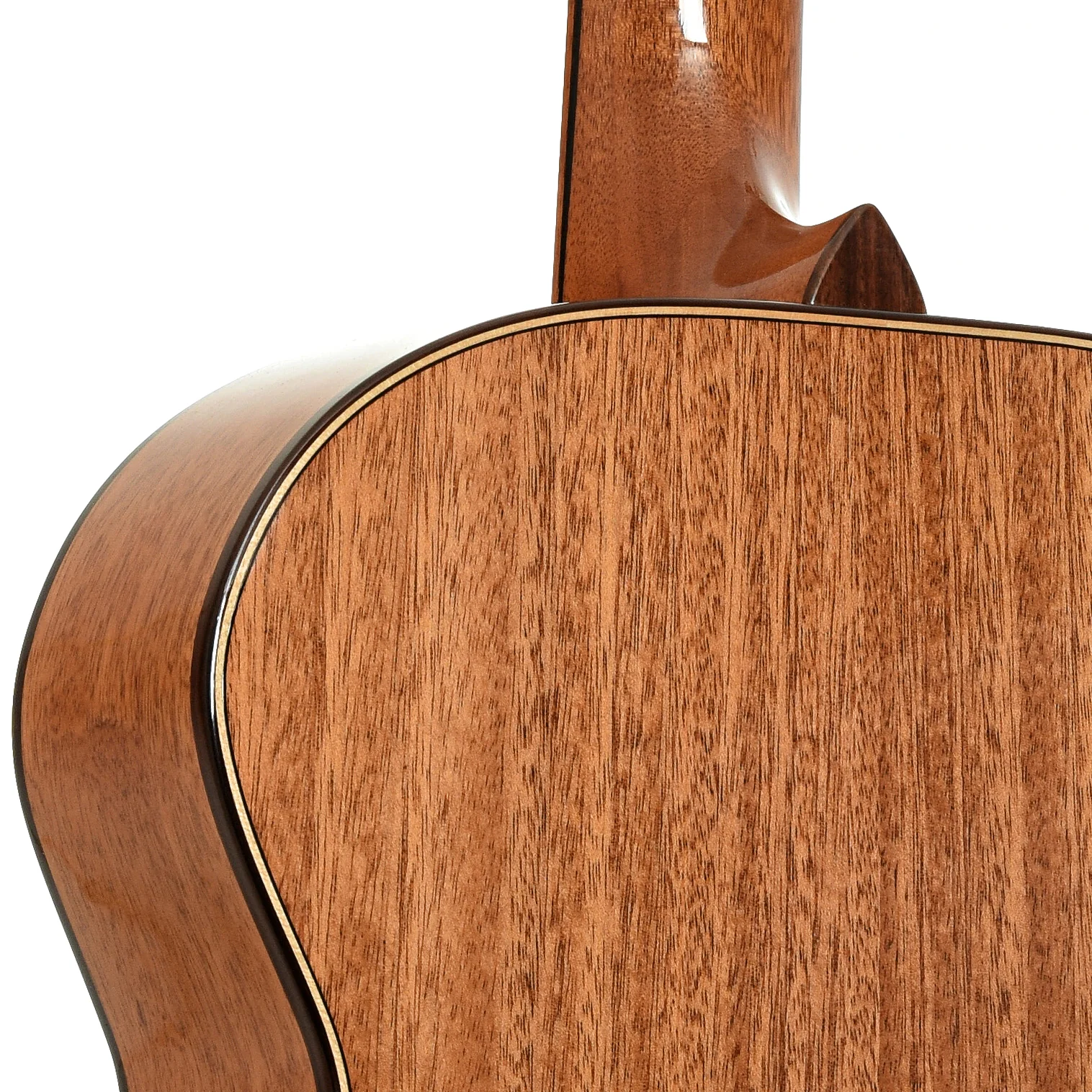 Kronbauer TDK Small Jumbo Acoustic Guitar (2013) - Image 10