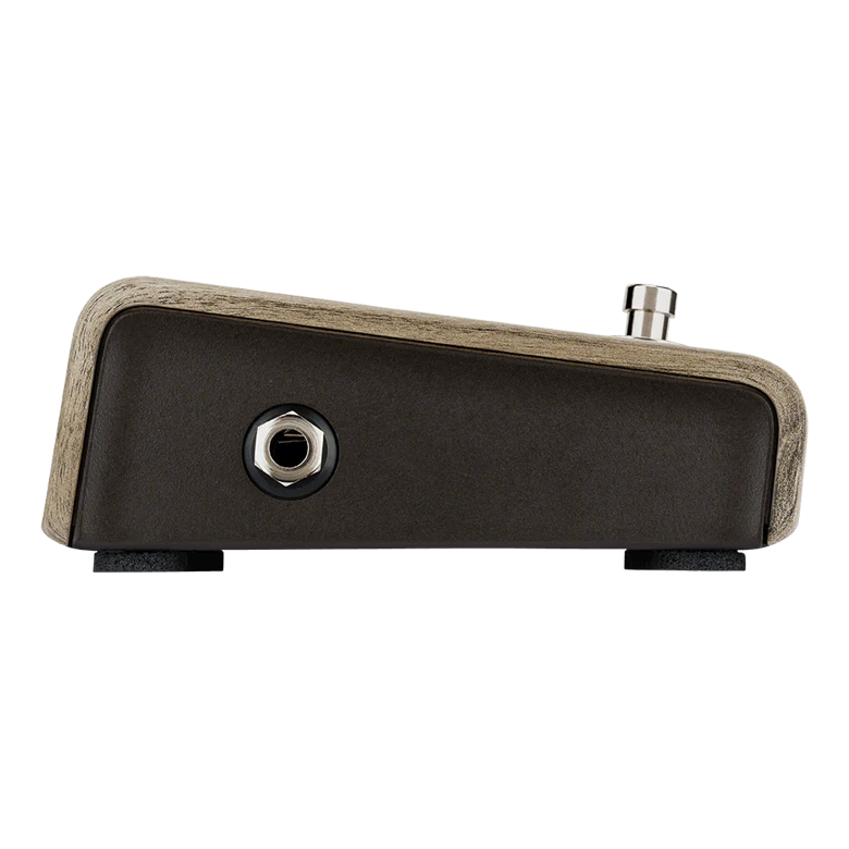 L.R. Baggs Align Series Active DI Acoustic Guitar Pedal - Image 6