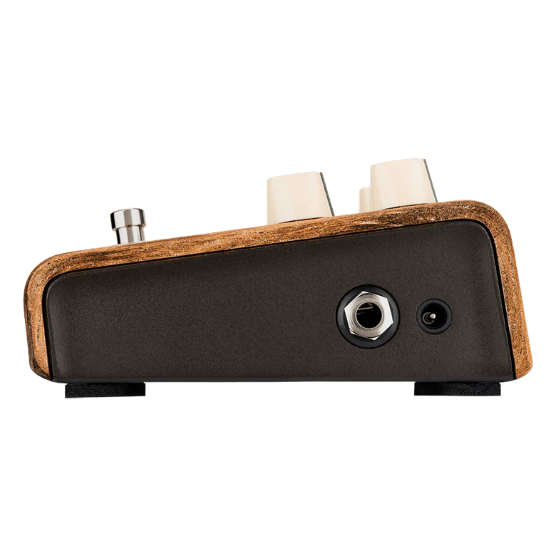 L.R. Baggs Align Series Session Acoustic Guitar Pedal - Image 4