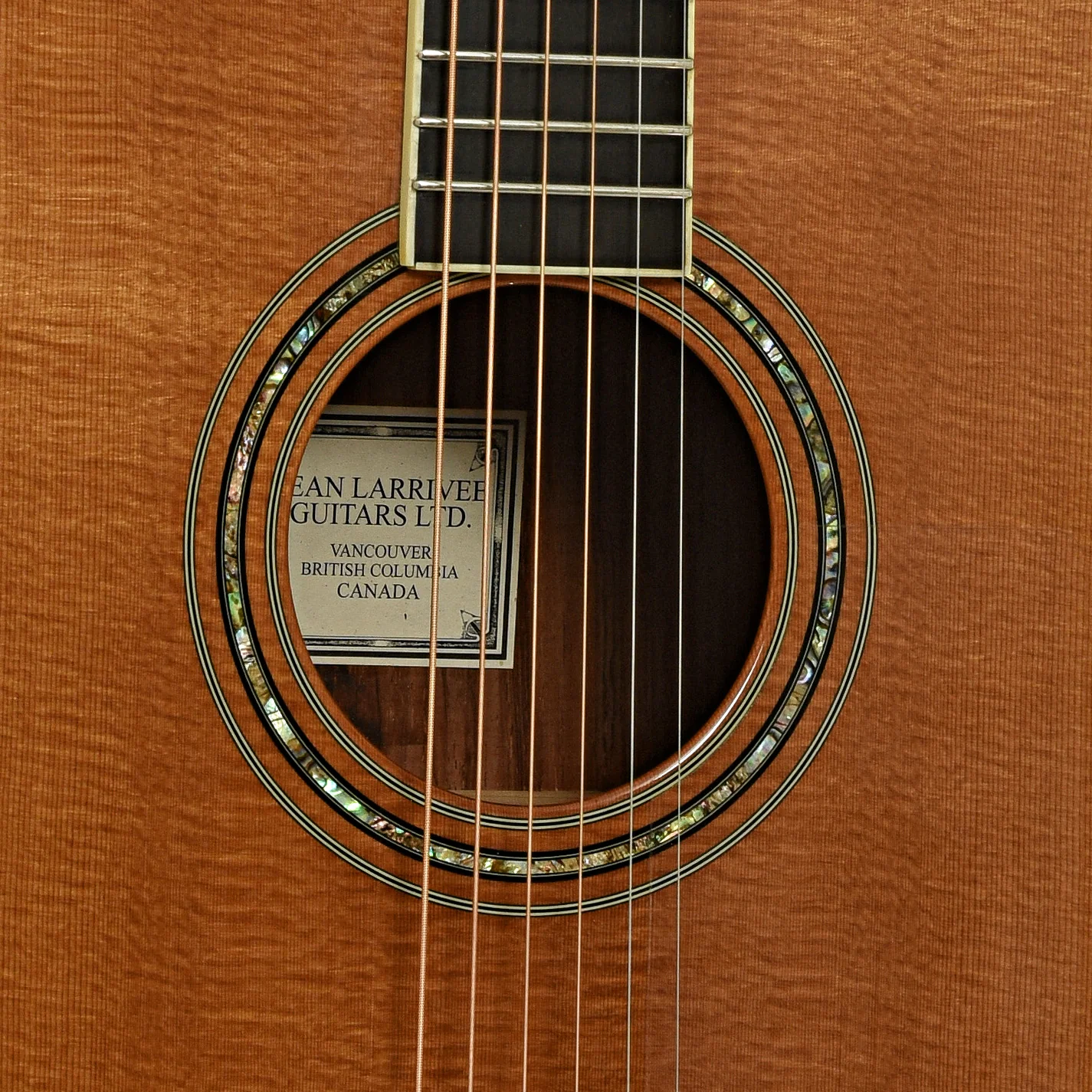 Larrivee D-09 Brazilian Acoustic Guitar (1998) - Image 5