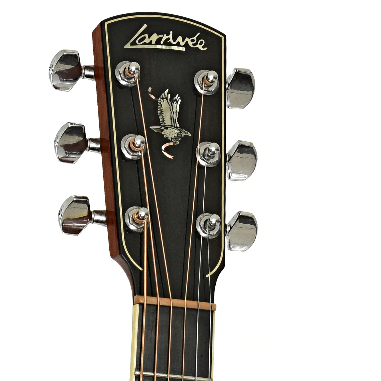 Larrivee D-09 Brazilian Acoustic Guitar (1998) - Image 7